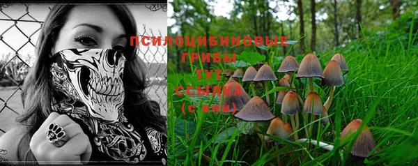 стафф Михайловка
