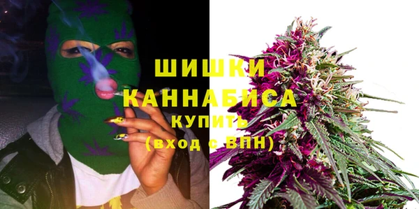 стафф Медвежьегорск