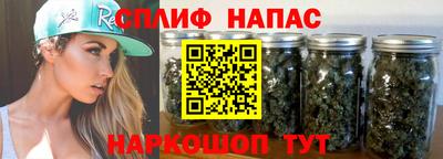 прущие крисы Берёзовский