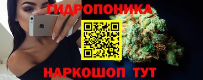 марихуана Будённовск