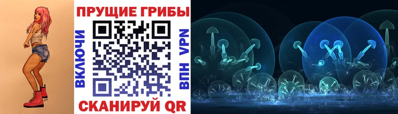 Галлюциногенные грибы Cubensis  Ефремов 