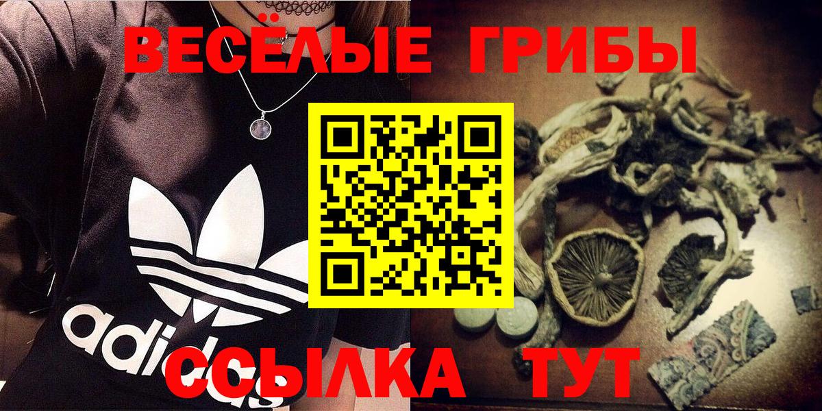 Псилоцибиновые грибы мухоморы  Псилоцибиновые грибы MAGIC MUSHROOMS  Ефремов 