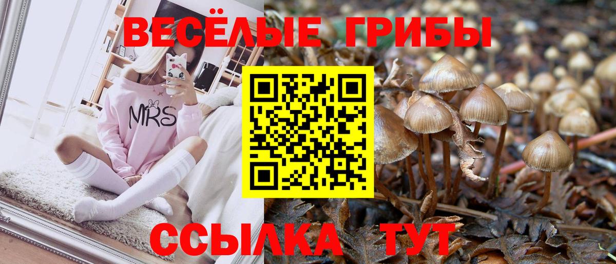 Бошки Шишки Ефремов