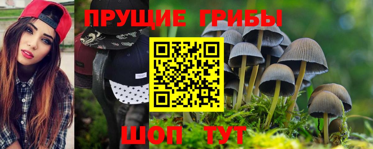 Ефремов  сколько стоит  Вход с VPN  Псилоцибиновые грибы ЛСД 