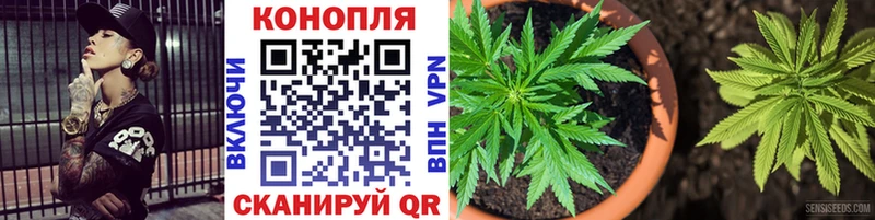 Конопля White Widow Ефремов